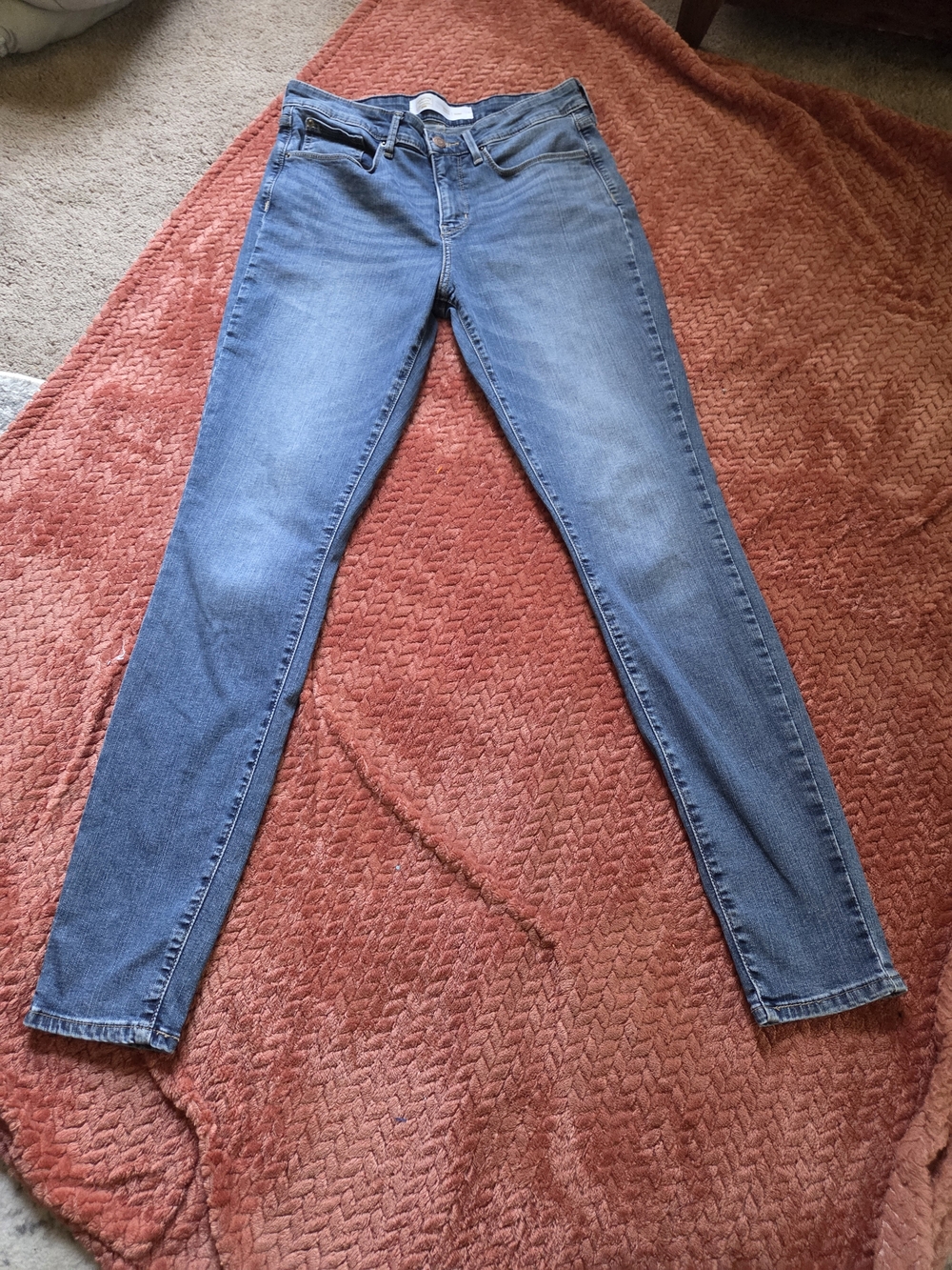 Size 30×32 Signature by Levi Strauss Skinny Jeans in Faded Blue